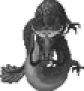 흑룡