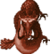 화룡