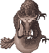 감룡