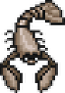 새끼게